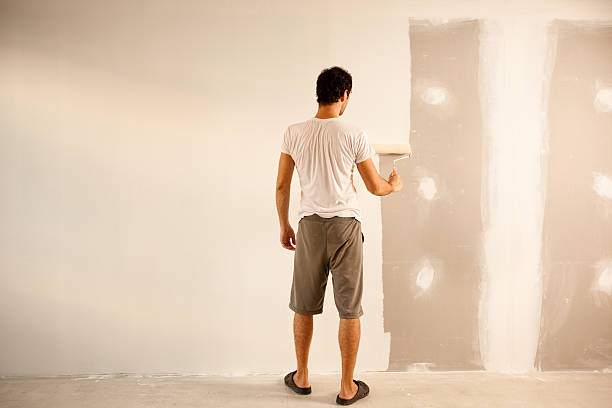 Best Drywall for Remodeling  in USA